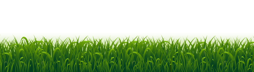 Wall Mural - Grass Frame And White Background