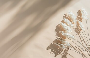 Canvas Print - White Pampas Grass in Sunlight