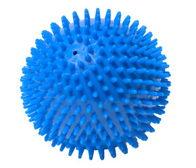 blue rubber ball with spikes on an isolated background. dog toy
