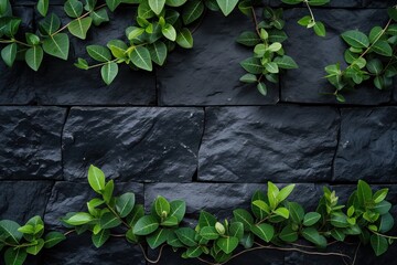 Wall Mural - green plants on black stone wall