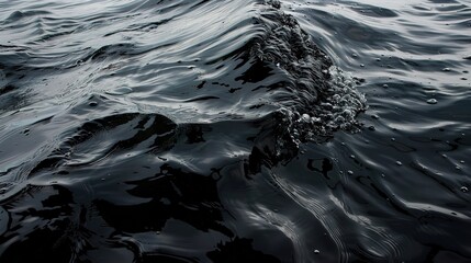 Poster - Dark Ripples on the Surface of the Ocean