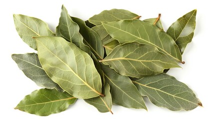 Aufkleber - A collection of fresh bay leaves, showcasing their vibrant green hues and natural textures, isolated on a white background for botanical and culinary reference.