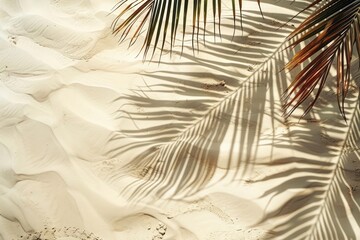 Canvas Print - Palm tree shadows on sandy beach texture background palm branch beige ocean dune wallpaper