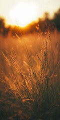 Wall Mural - Macro shot, forest and wild grass at sunset. Abstract summer nature background. Vintage filter, vertical orientation.