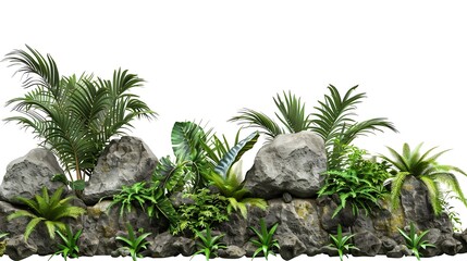 Poster - Tropical plant fence moss bush tree jungle stone rock isolated on white background with clipping path : Generative AI