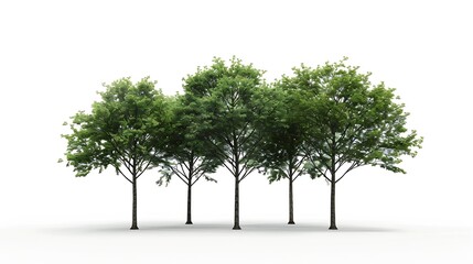 Aufkleber - Trees isolated on white background isolated used for design advertising and architecture : Generative AI