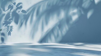 Poster - Empty blue room studio with shadow of leaves on concrete wall and floor for product presentation Sunlight effect shadow Minimal summer backdrop Cosmetic beauty and fashion showroom : Generative AI