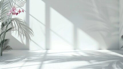 Aufkleber - Abstract white studio background for product presentation Empty room with shadows of window and flowers and palm leaves  3d room with copy space Summer concert Blurred backdrop Banner : Generative AI
