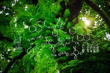 plants background with biochemistry structure.