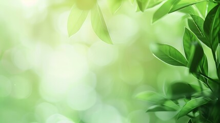 Aufkleber - Blurred green leaf gradient nature background : Generative AI