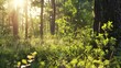 © The Little Hut - Observing the sunlight filtering through the trees in a forest surrounded by a natural landscape of terrestrial plants trunks twigs grass and various shades of wood : Generative AI