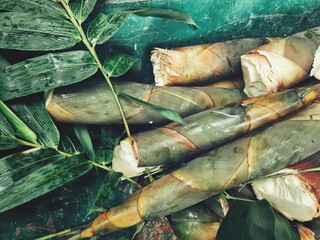 Wall Mural - Close up of bamboo shoots in nature