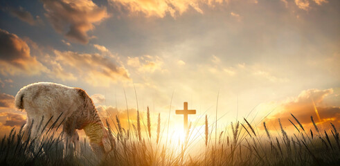 Sticker - Llama and cross in the meadow with sunset sky background