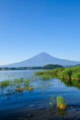 Wall Mural - 山梨県河口湖と富士山