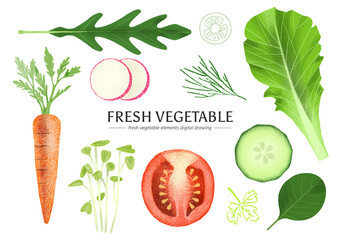 fresh vegetable set