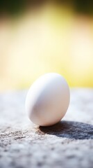 Poster - Close-up of a single white egg on a textured surface