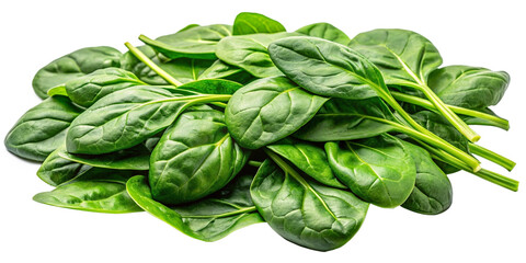 Fresh Spinach Leaves: A vibrant bunch of fresh spinach leaves, ready to add a burst of flavor and nutrition to your dishes.  