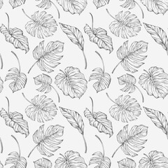 Wall Mural - Tropical seamless pattern with monstera leaves. Hand drawn illustration.