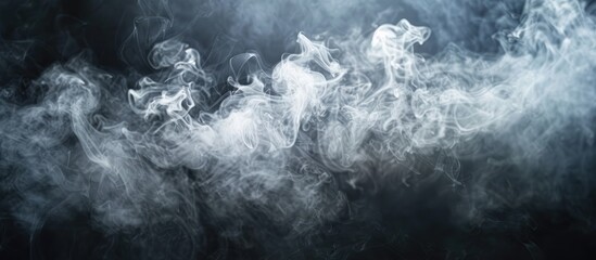 Poster - Elegant white smoke against dark background with copy space image