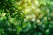 © Maryna - Green Bokeh Background. Abstract Blur of Light in Natural Forest Setting