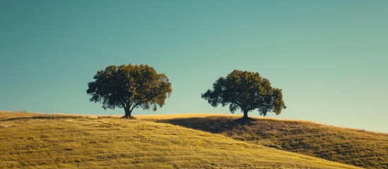 Poster - Trees are concealed by a hill in the copy space image