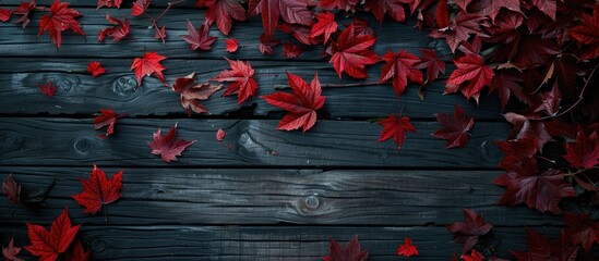 Poster - Top down view of autumn s red leaves against a dark wooden backdrop with copy space image available