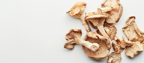Poster - Isolated dried mushrooms on a white background with space for text or graphics in the image. copy space available