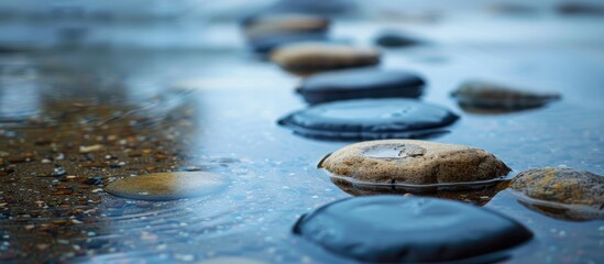 Poster - After rain the background has wet stones and sand adding depth to the copy space image