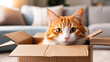© Ink & Ideas - A cute adorable funny cat in a cardboard box at home