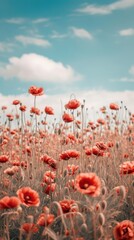 Wall Mural - Aesthetic flower field photo outdoors blossom nature.