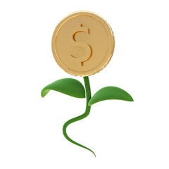 3d illustration of money flower plant for icons and symbols.3d render.