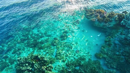 Sticker - A beautiful blue ocean with a rocky shoreline. The water is clear and calm, and there are many fish swimming around. The scene is peaceful and serene, and it's a great place to relax and unwind