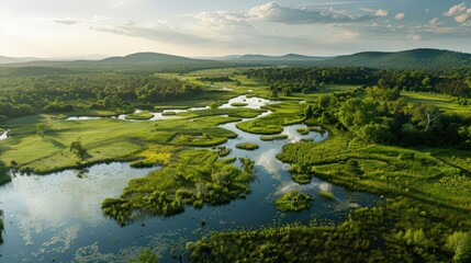 Wall Mural - Showcase an aerial view of wetlands with a panoramic vista of distant hills and forests, framing the expansive natural habitat.