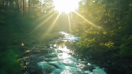 Poster - The gentle sound of the rushing creek fills the air as the first rays of sunlight filter through the tall trees lining its banks.