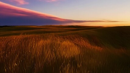 Poster - The rich golden light of the setting sun casting long shadows across the windswept grasses of the highland moors.