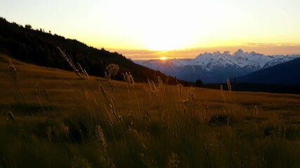 Poster - High above the alpine meadows the fading light reveals a hidden world of delicate grasses and wildflowers gently swaying in the evening breeze.