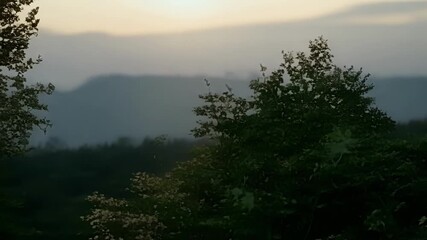 Poster - The air is filled with the earthy scent of damp foliage and the sweet aroma of blooming flowers as the evening settles in.