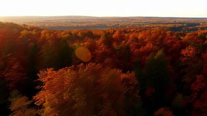 Poster - The camera glides over a sea of rustcolored trees their leaves gently rustling in the crisp evening breeze.