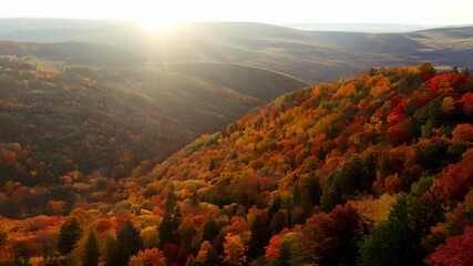 Poster - A serene panorama of lush rolling hills painted with a kaleidoscope of autumnal colors.