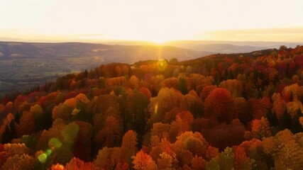 Poster - The camera gracefully glides over the rolling landscape capturing the contrast between the fading daylight and the vivid hues of autumn.