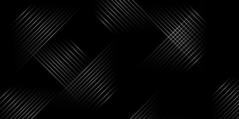 Poster - fragment of bird's feather,vector black abstract background lines tech geometric modern dynamic shap
