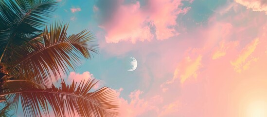 Canvas Print - A serene tropical scene with a dreamy pastel sky featuring palm tree leaves a crescent moon fluffy clouds and available copy space image