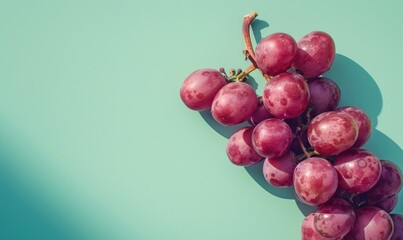 Wall Mural - Grapes on a pastel green background