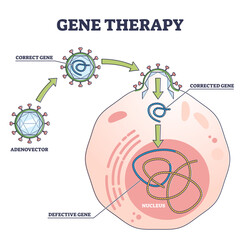 Wall Mural - Gene therapy medical treatment and correct genome replacement outline diagram, transparent background. Educational labeled experimental and modern disease treatment scheme.