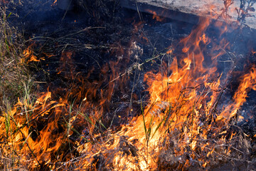 Wall Mural - Forest and steppe fires dry completely destroy the fields and steppes during a severe drought. Disaster brings regular damage to nature and economy of region. Lights field with the harvest of wheat