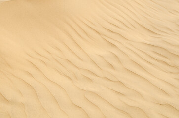 sam sand dunes in thar desert, grainy sand, texture, pattern, background, jaisalmer, rajasthan, indi