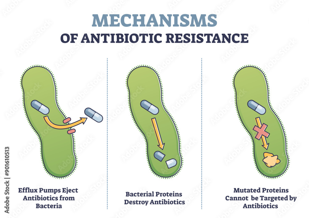 mechanisms-of-antibiotic-resistance-outline-diagram-with-illustrated