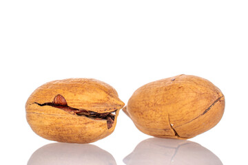 Two unshelled pecan nuts, macro, isolated on white background.