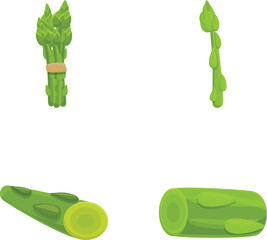 Poster - Raw celery icons set cartoon vector. Juicy fresh organic celery. Agriculture cultivated plant
