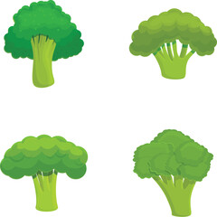 Poster - Broccoli cabbage icons set cartoon vector. Fresh green broccoli on stalk. Healthy nutrition